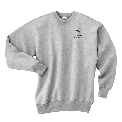 Hanes® - EcoSmart® Crewneck Sweatshirt