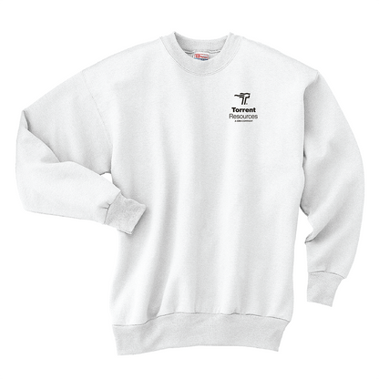 Hanes® - EcoSmart® Crewneck Sweatshirt